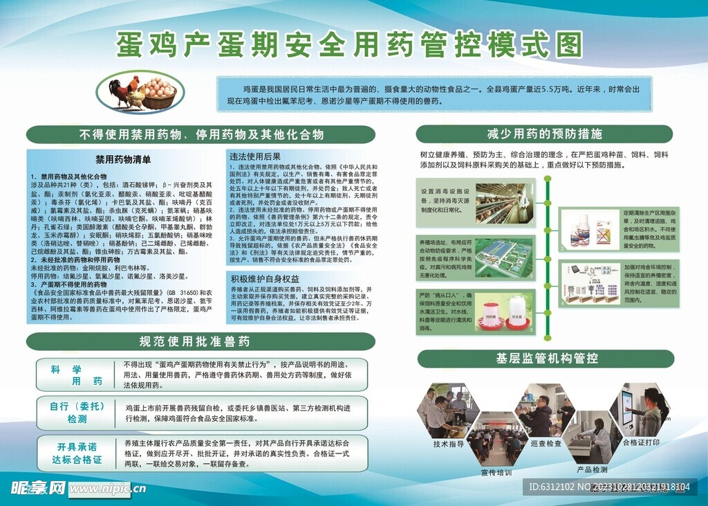 蛋鸡产蛋期安全用药管控模式图