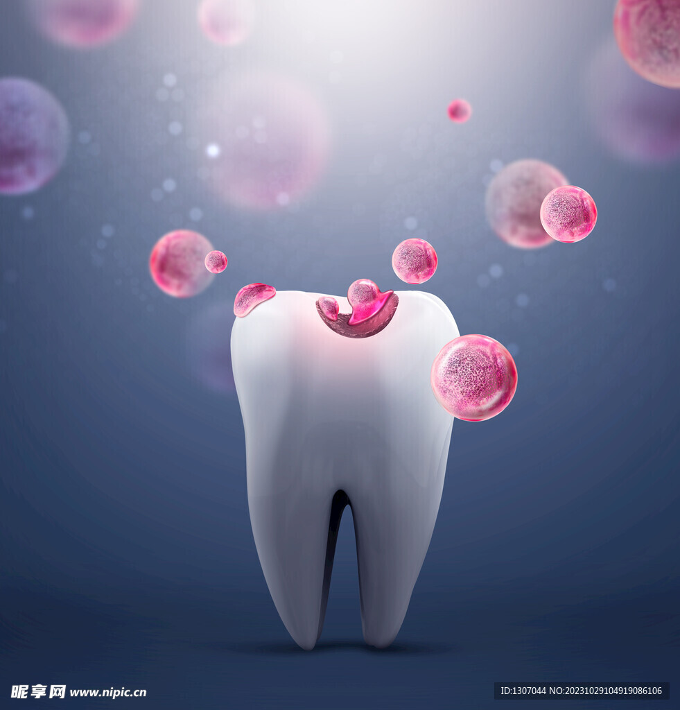 牙齿 模型  口腔 3D  