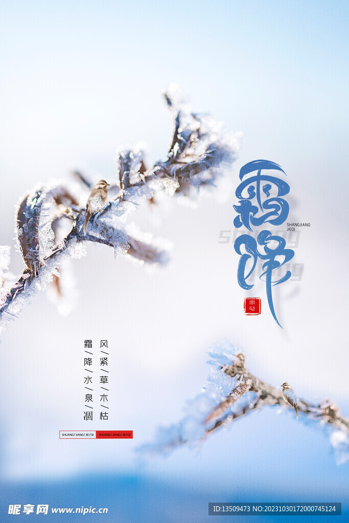 冬天 霜降 寒露