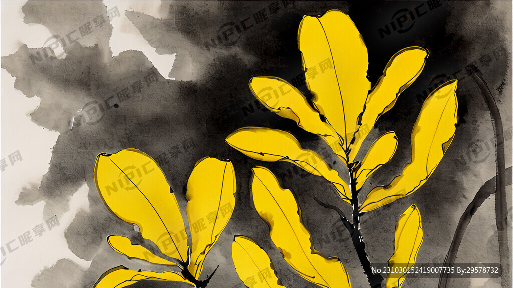 地上放着黄色的生姜 自然植物