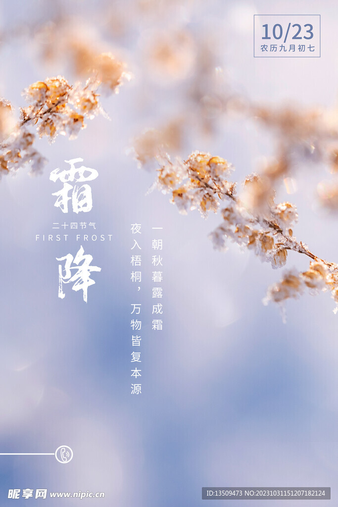 雪景 霜降 冬天