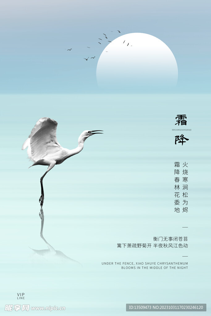 白天鹅在冰面上