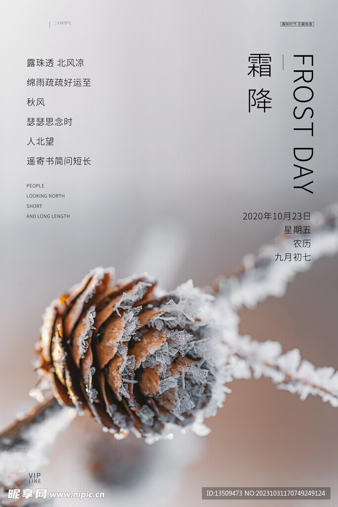 霜降 结霜的植物