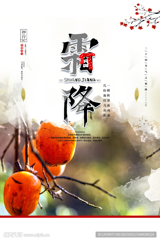 霜降 二十四节气