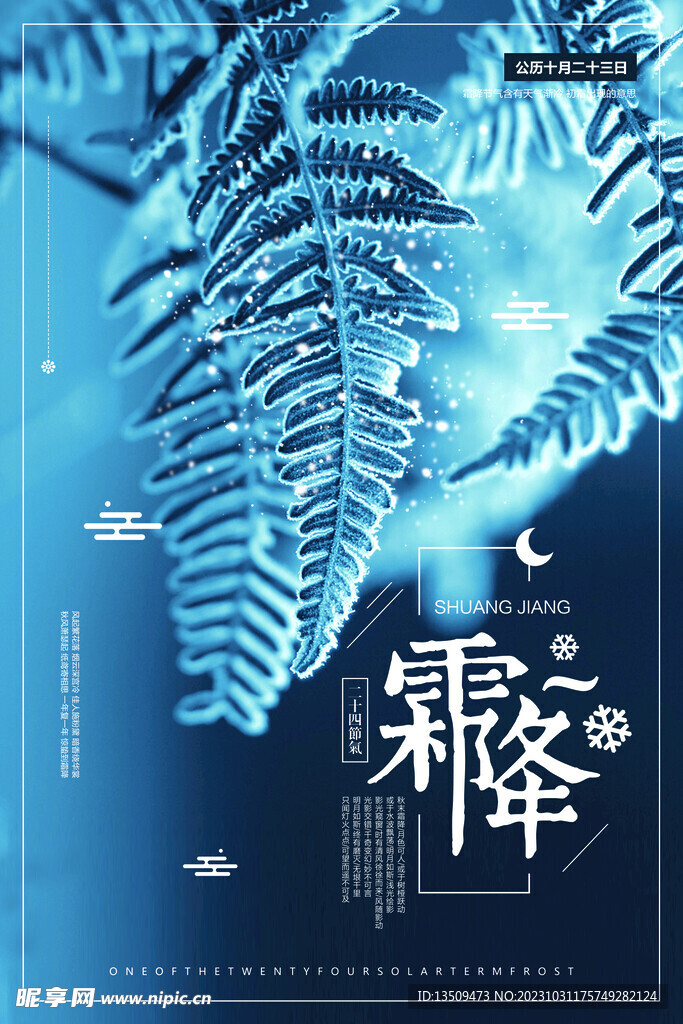 霜降 结霜的树枝