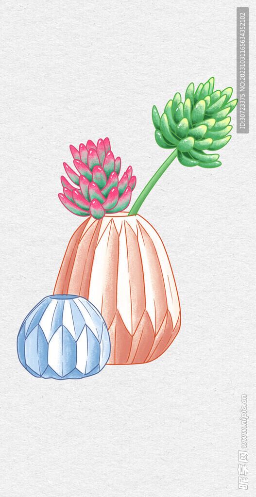 手绘多肉植物盆栽