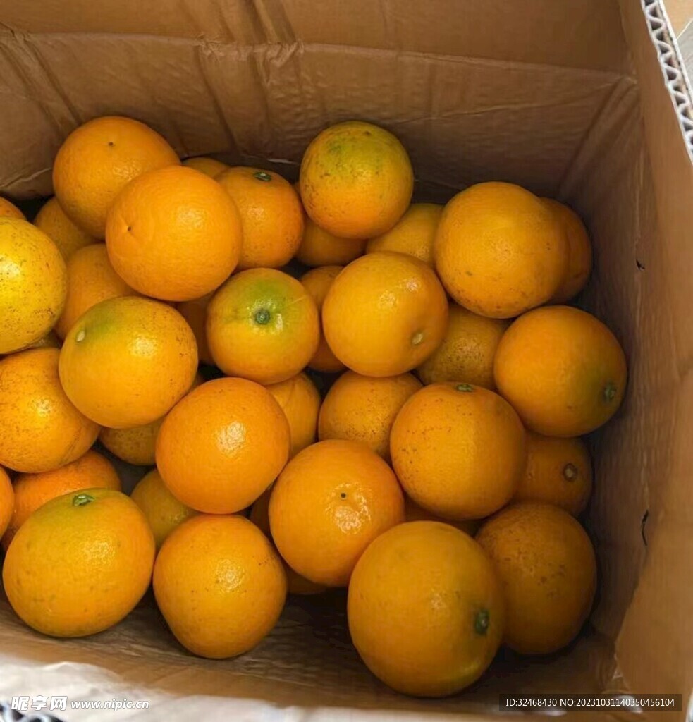 成熟的桔子
