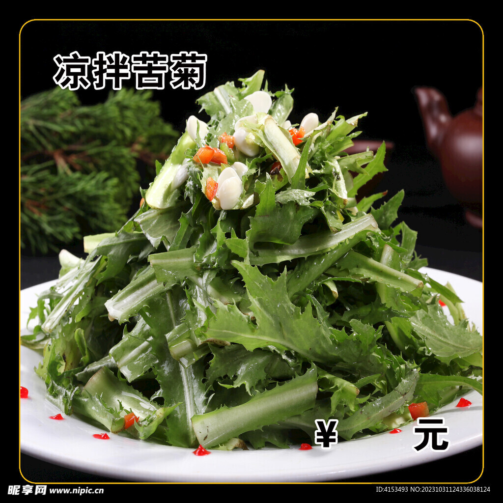 凉拌苦菊