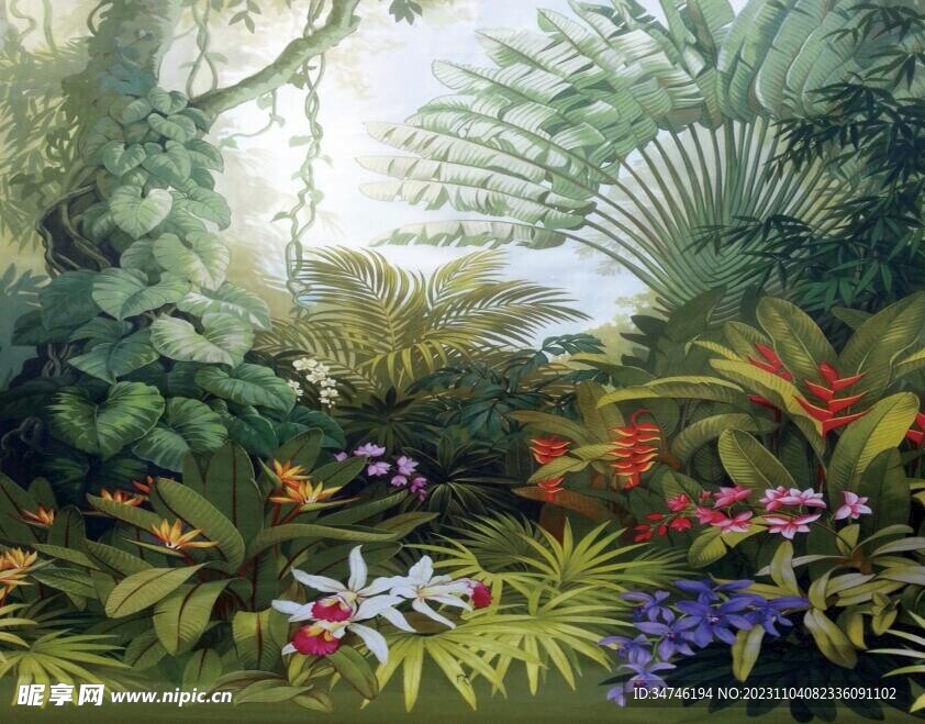 原始森林巴蕉叶