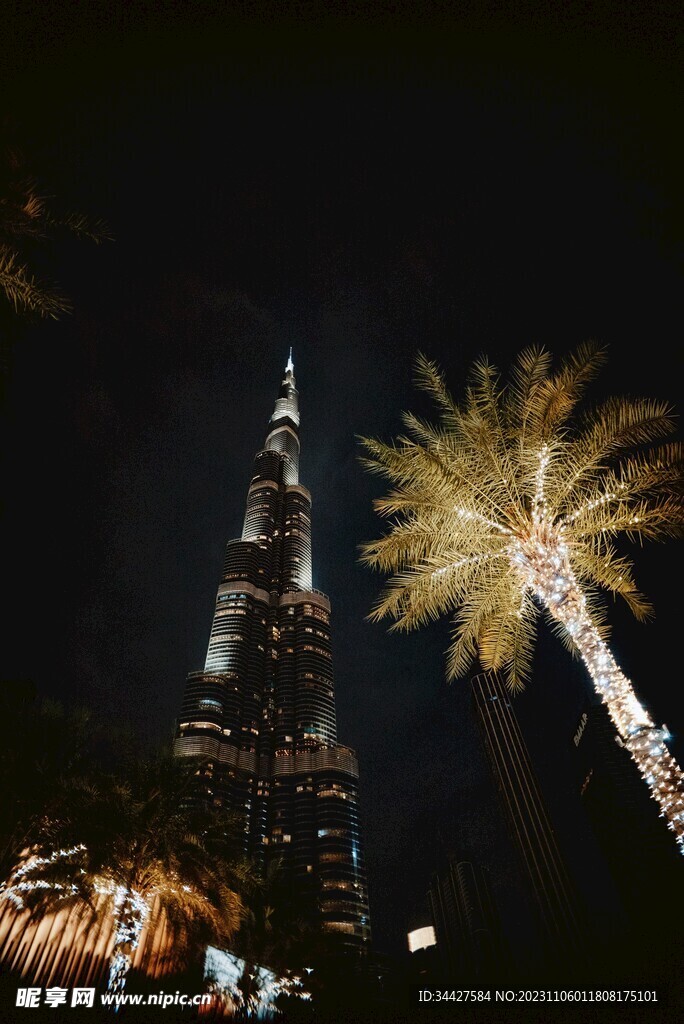 城市高楼夜景和椰子树