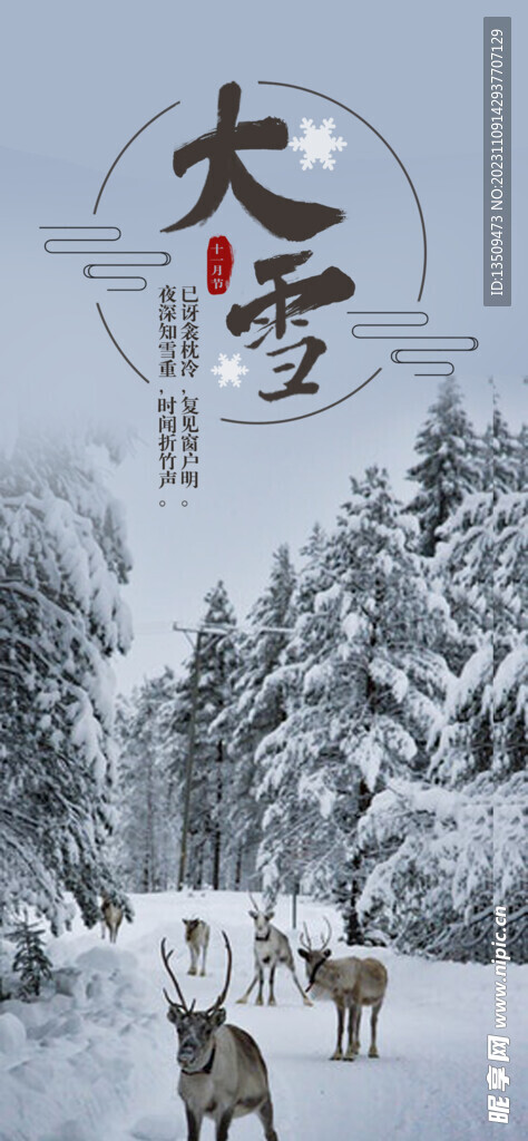 大雪 森林