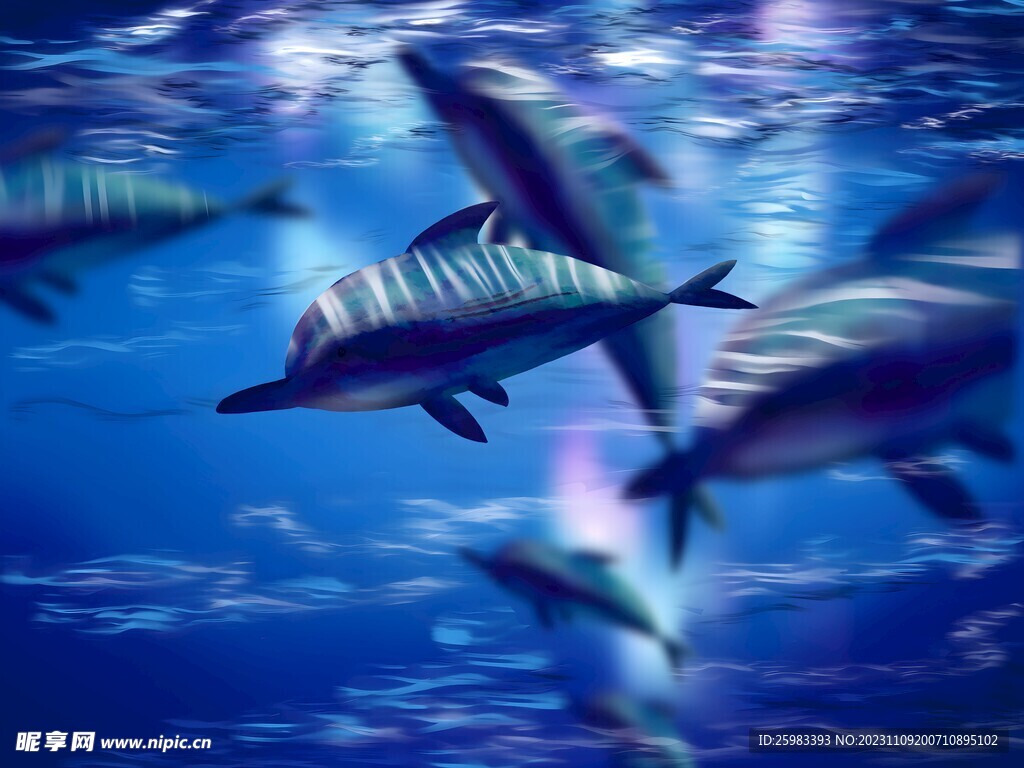 海洋生物