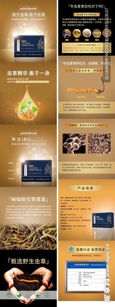 红景天银杏叶蝙蝠蛾拟青霉详情页