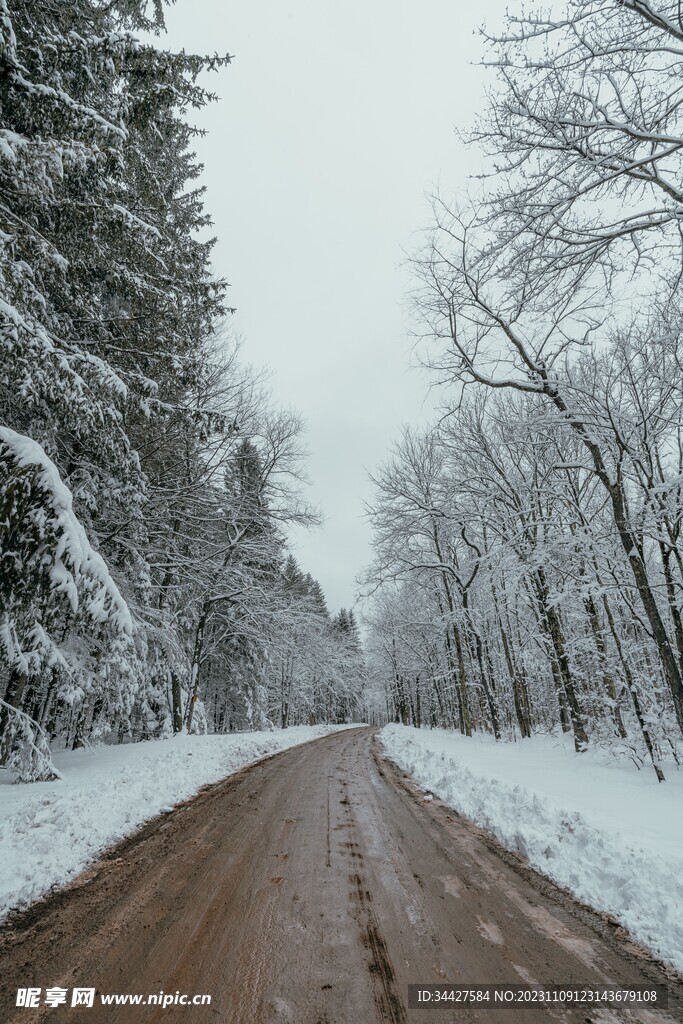 大雪覆盖的林中道路