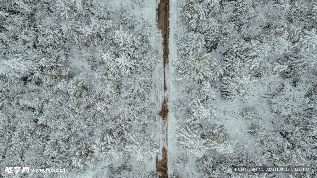 航拍雪林中道路