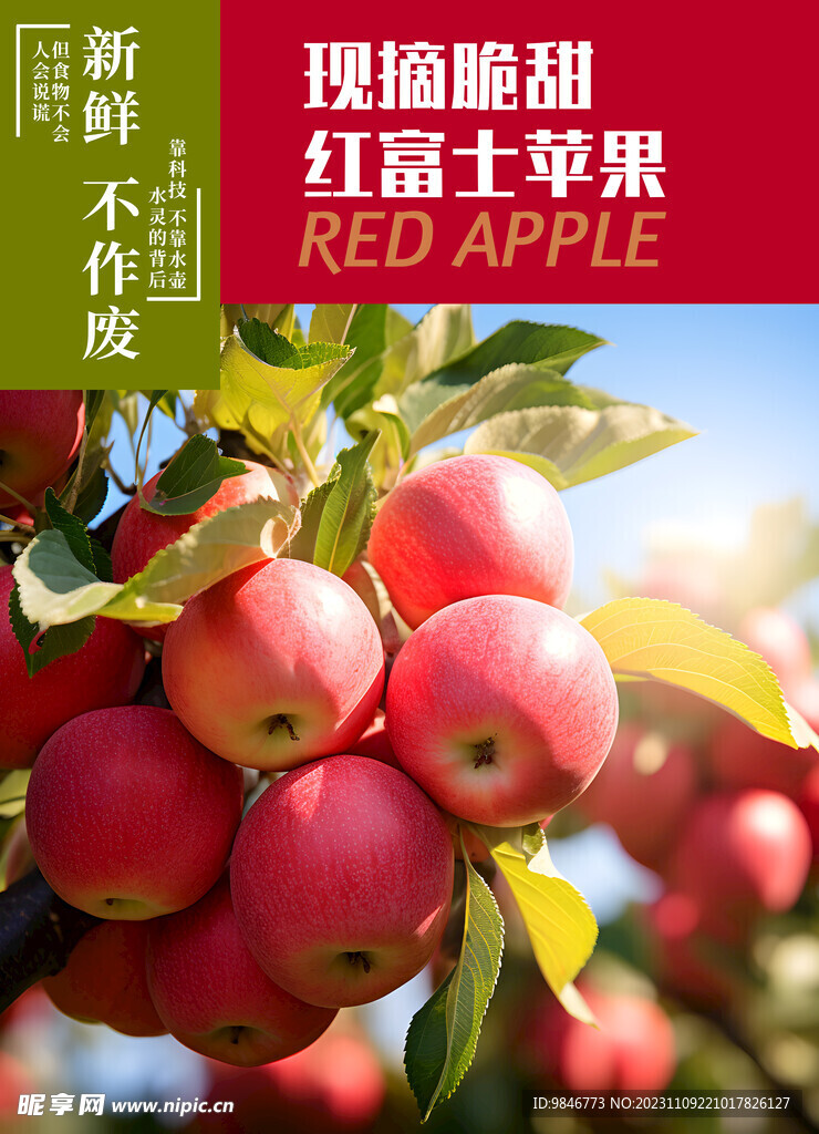 苹果 红富士海报
