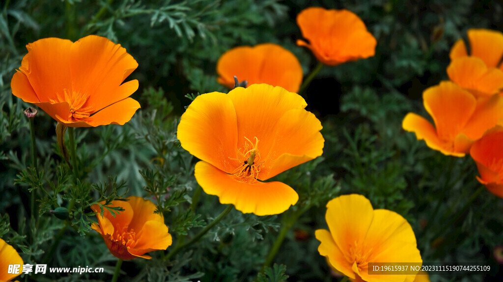 自然风光 山水风光 风景图片 