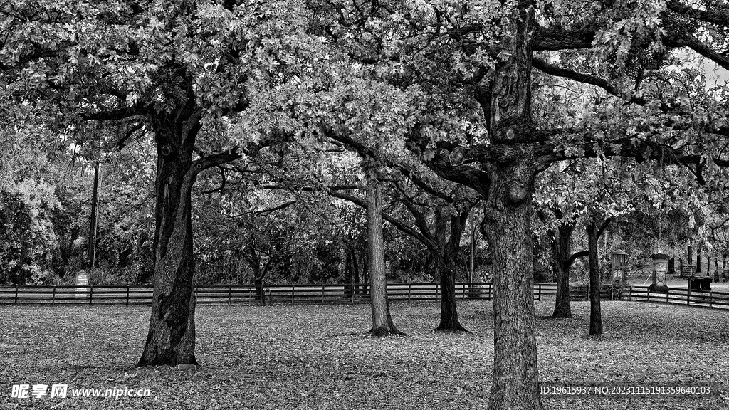 自然风光 山水风光 风景图片 