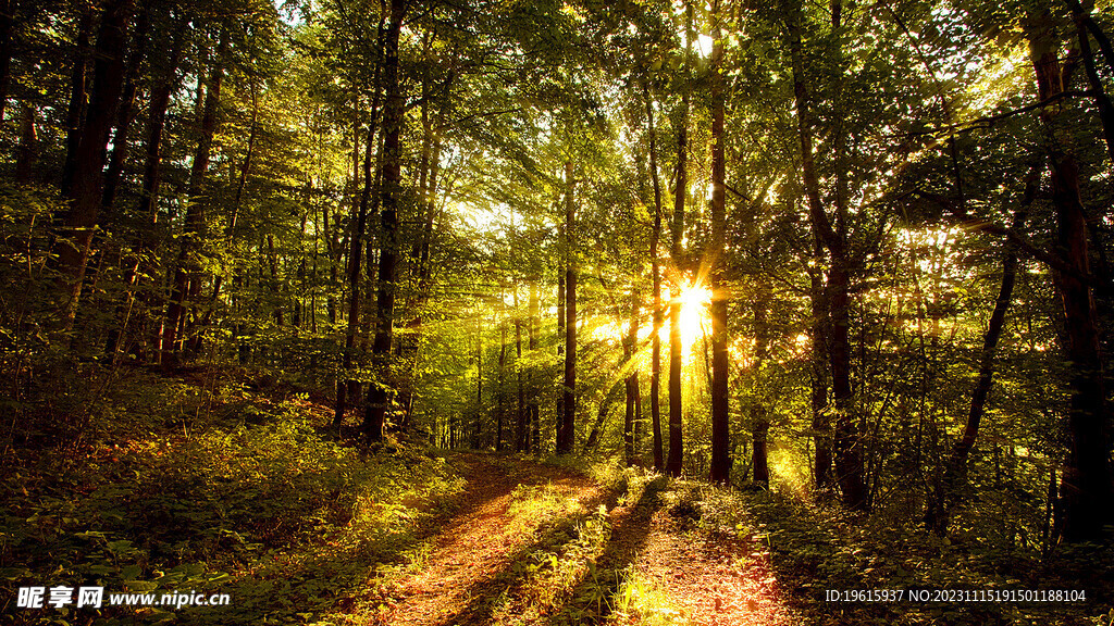 自然风光 山水风光 风景图片 