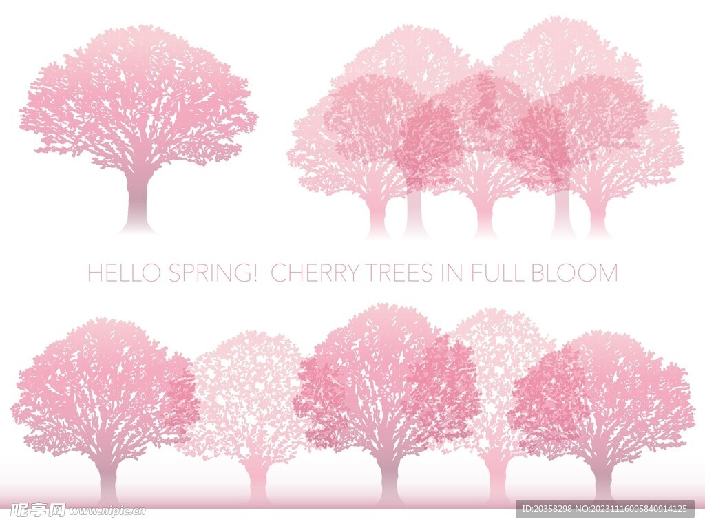 开满花的樱桃树