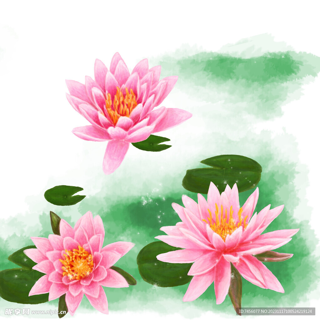 水彩莲花荷花挂画装饰画