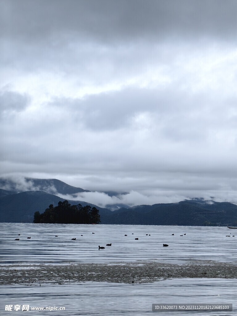 青山绿水小鸭子