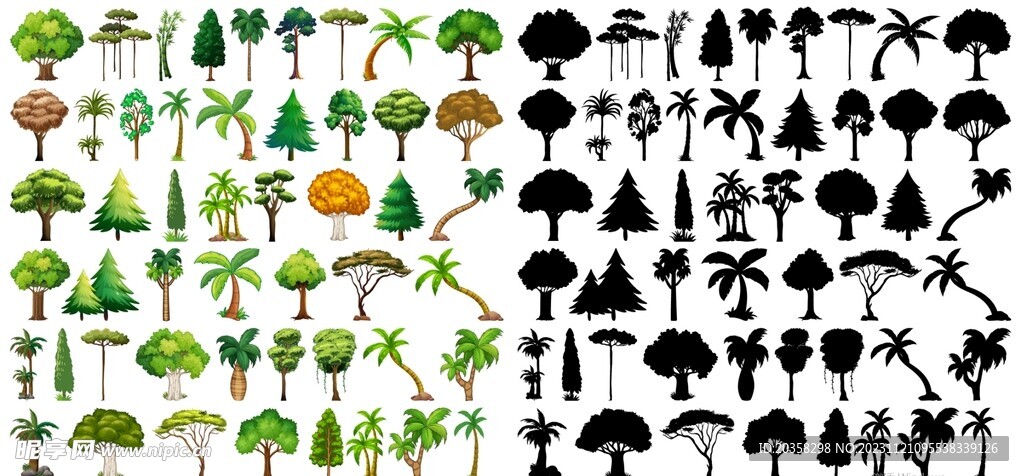 植物和树木的剪影