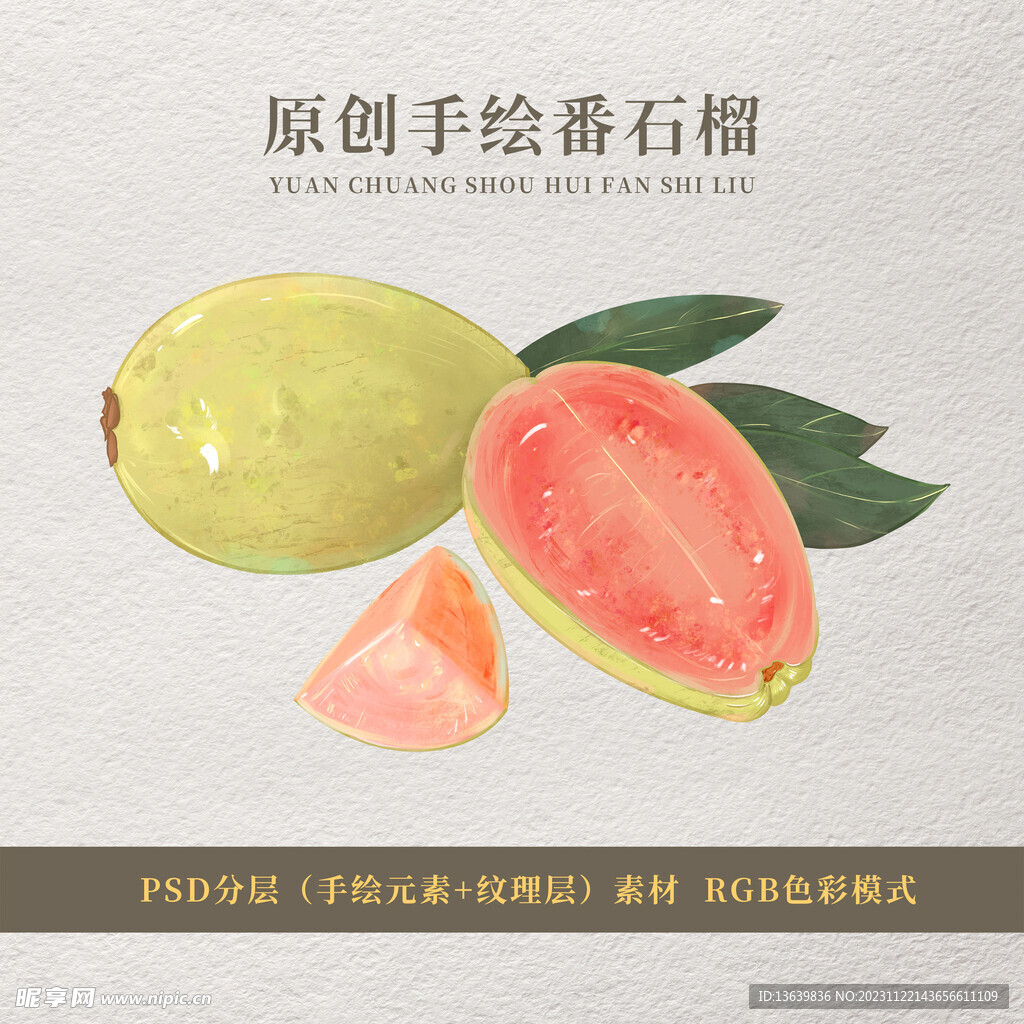 番石榴手绘素材