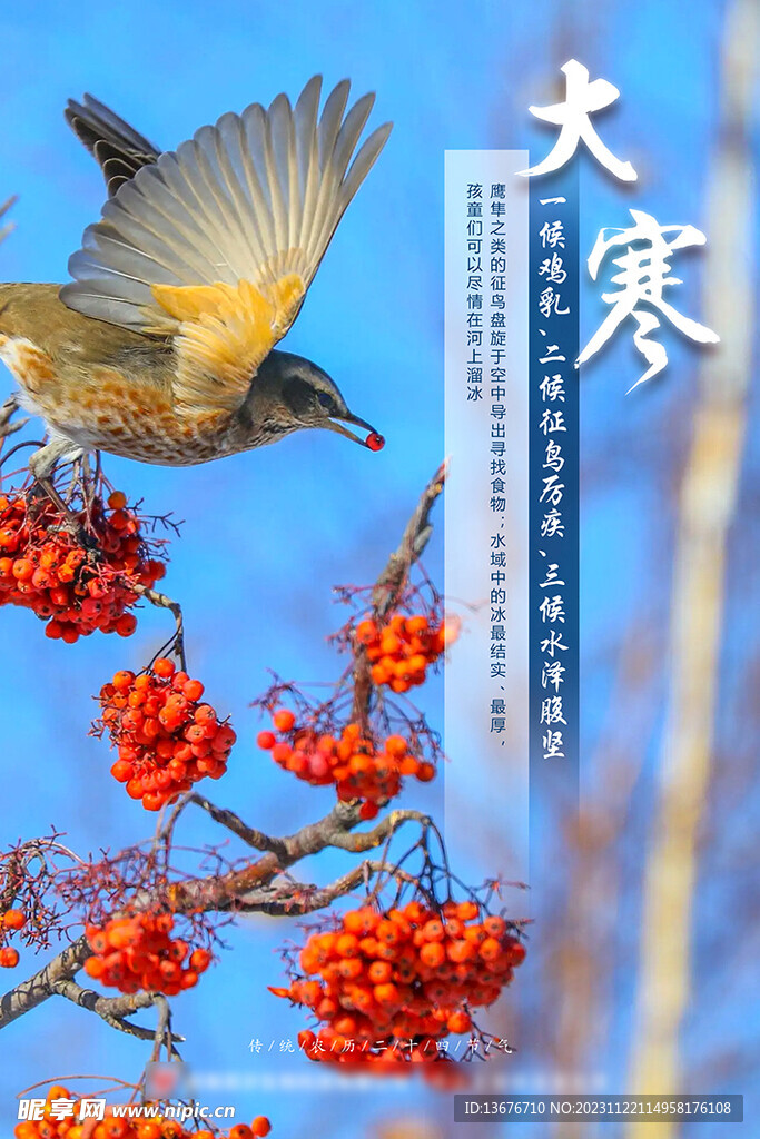 大寒 二十四节气