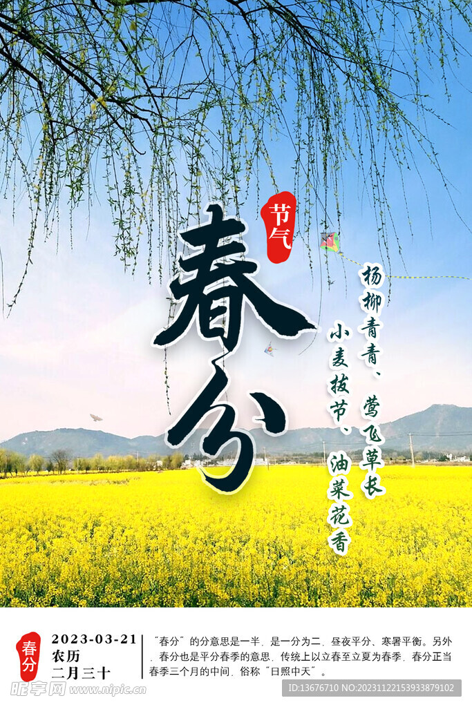 春分 柳树 风筝