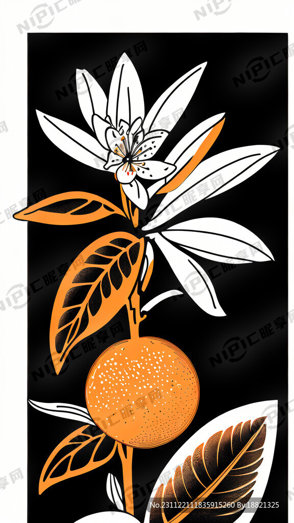 橘子花和橙色橘子黑线条插图