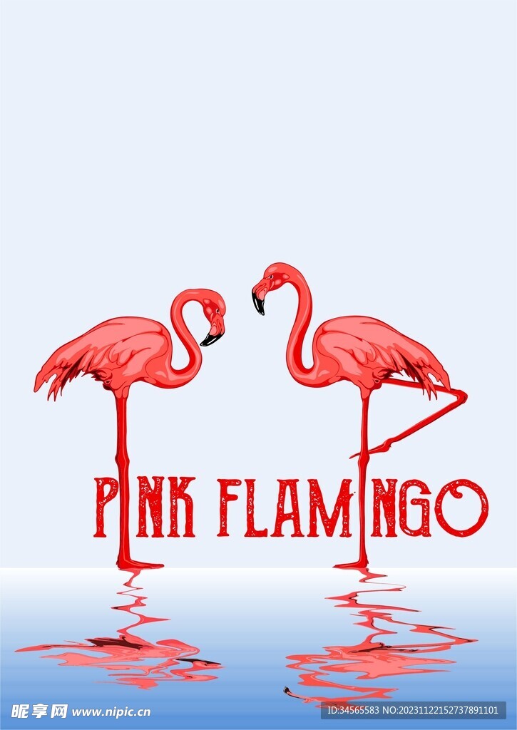 红色火烈鸟