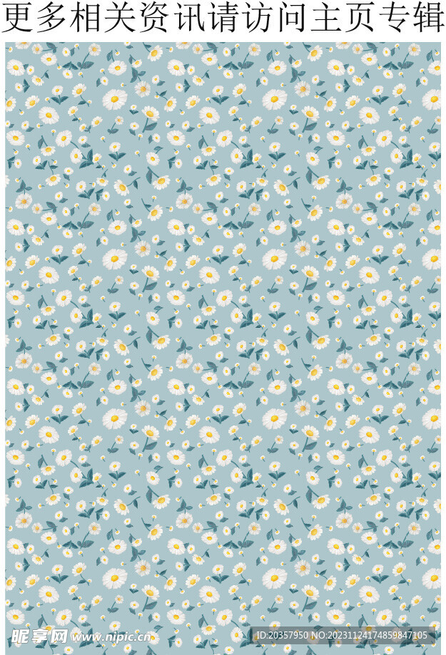   小雏菊   黄色菊花 