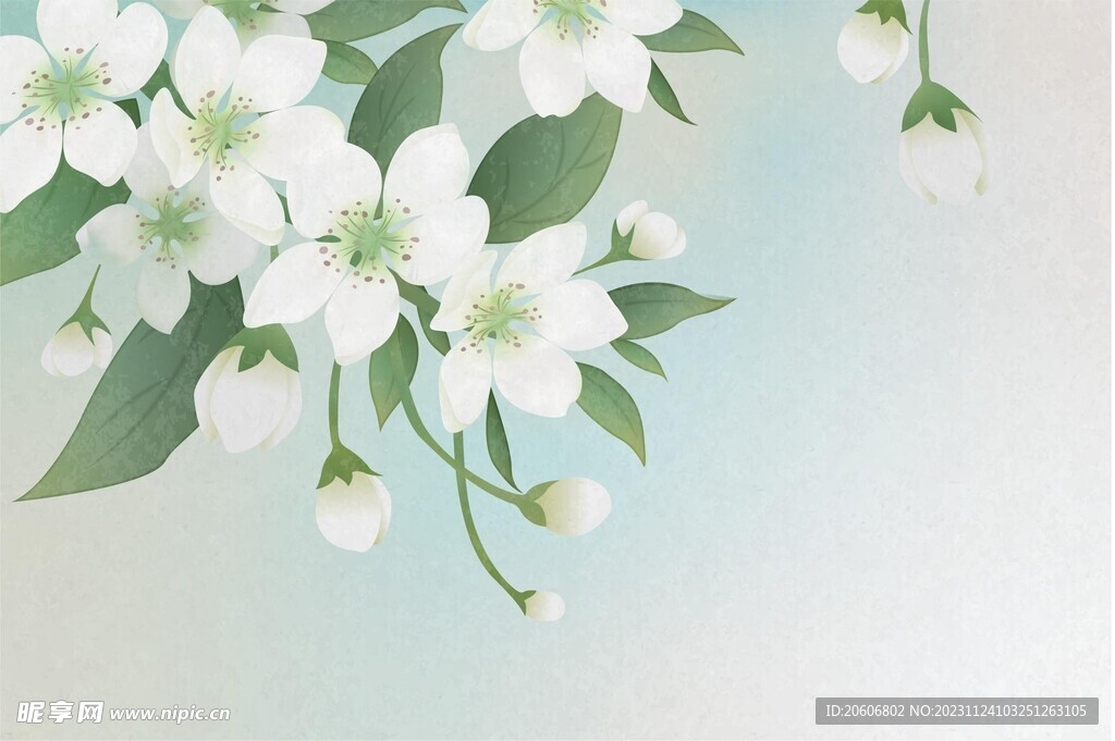 中国风梨花插画