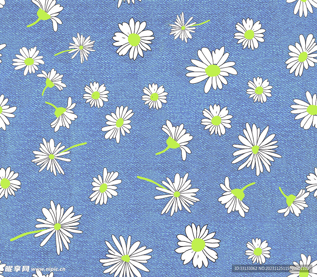 线条花 手绘花 菊花