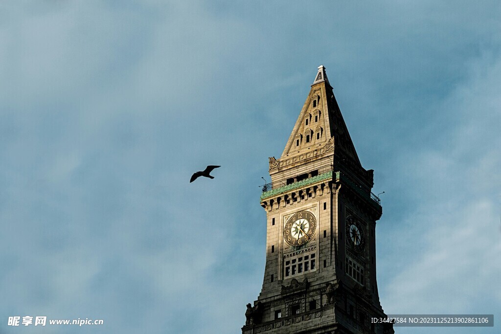 钟楼和飞鸟