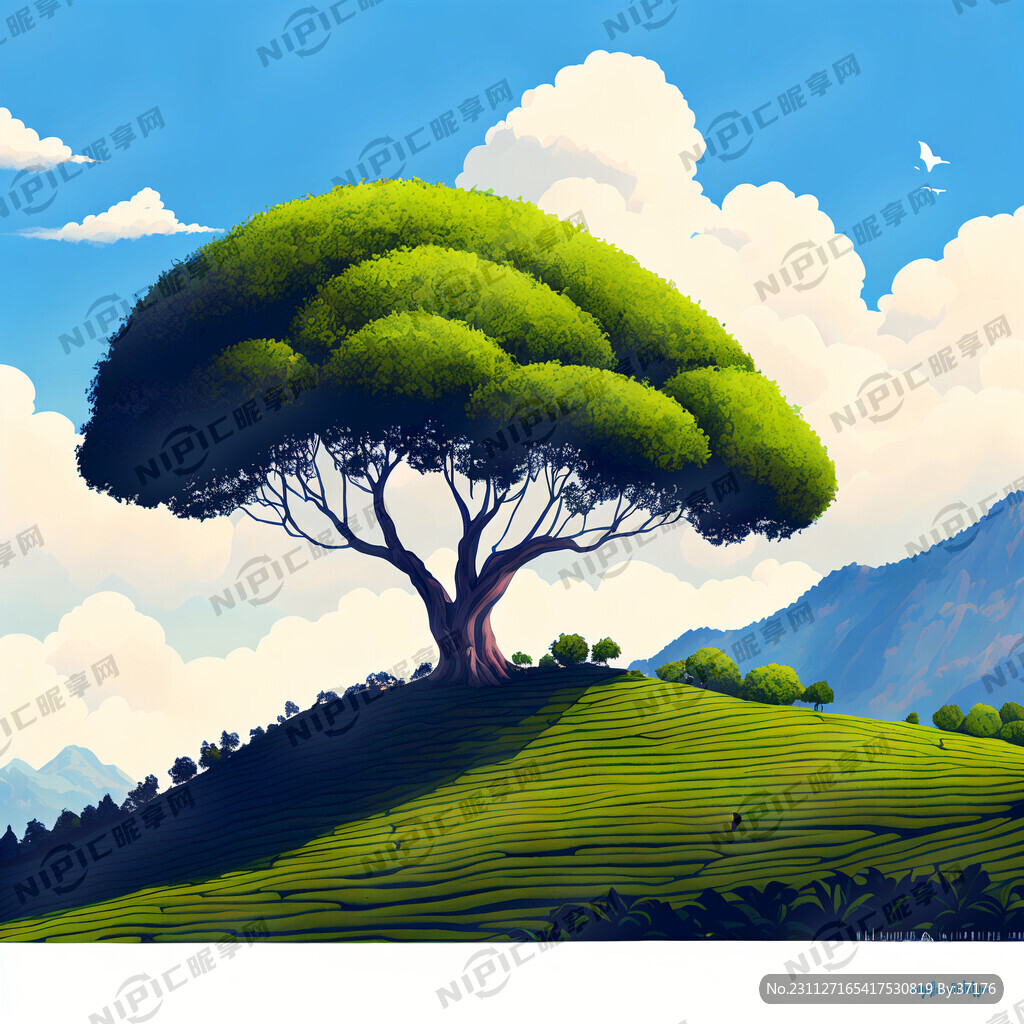 有山 山上有大片茶籽树