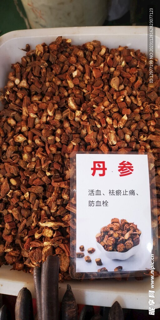 中药材丹参照片