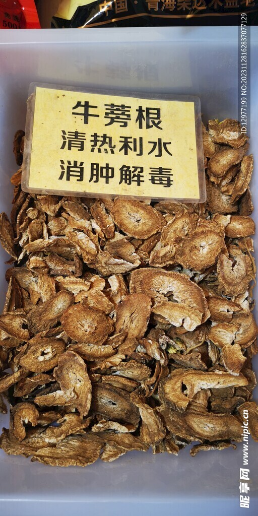 中药牛蒡根照片
