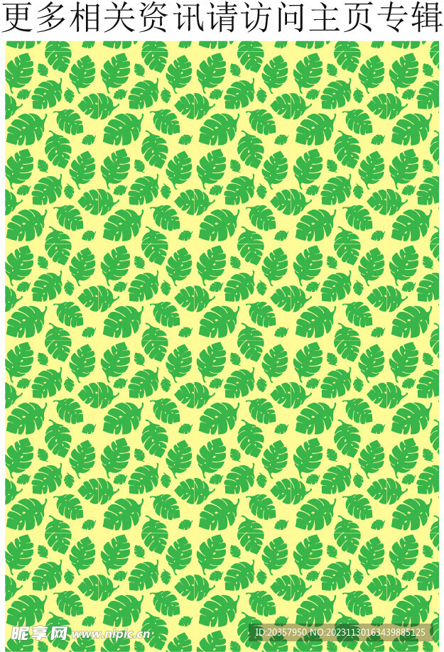 热带棕榈叶  芭蕉叶 