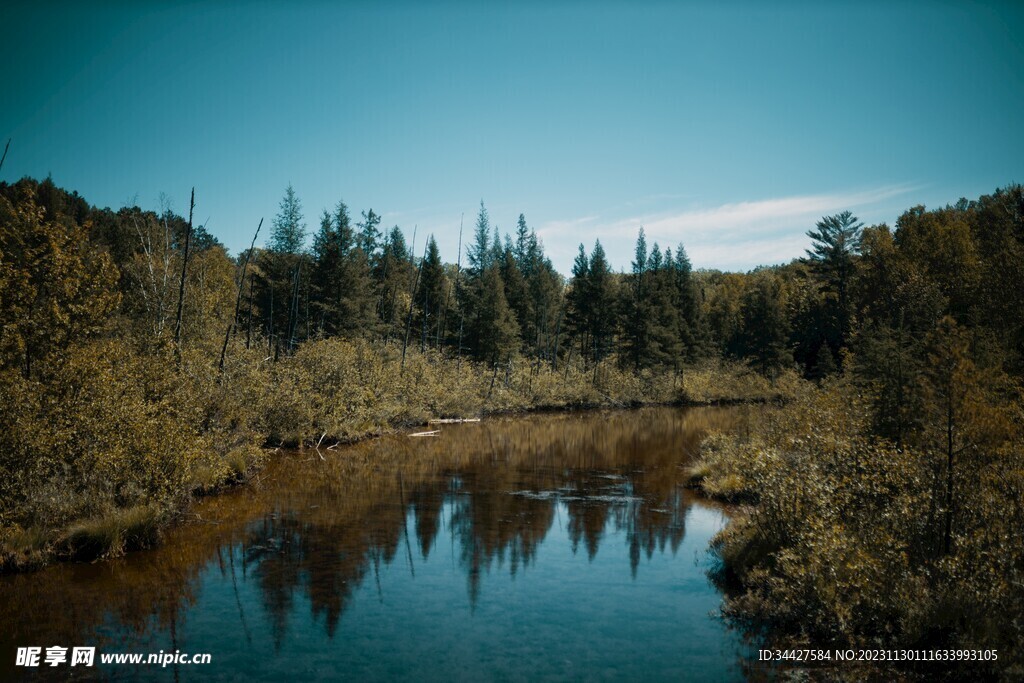 树林湖景