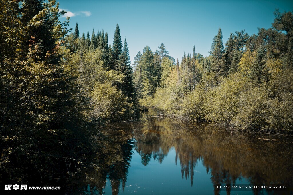树林湖景