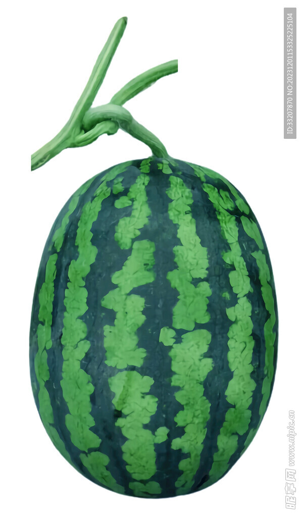 西瓜