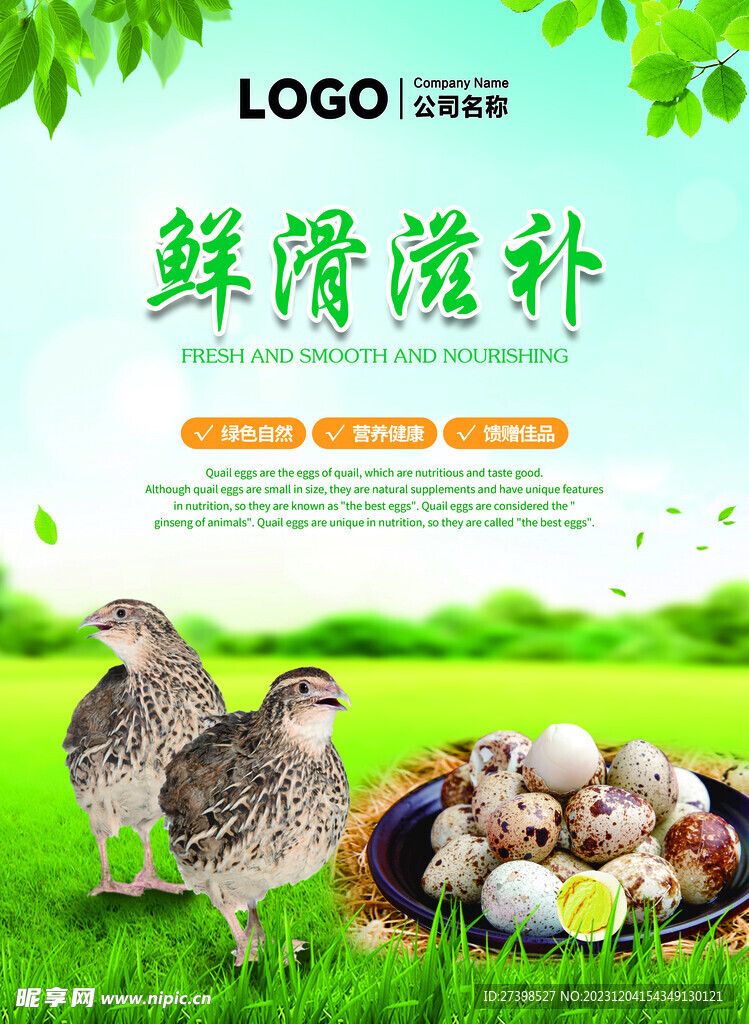 鹌鹑蛋鲜滑滋补 鹌鹑形象海报