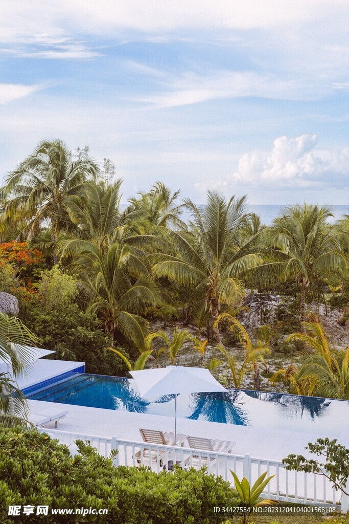椰子树和游泳池