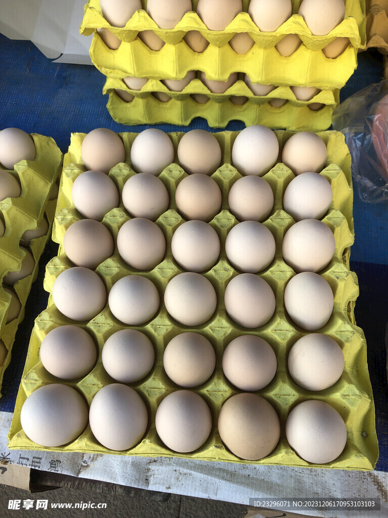 生鸡蛋
