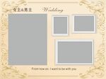 4m3m多个照片婚礼迎宾香槟色