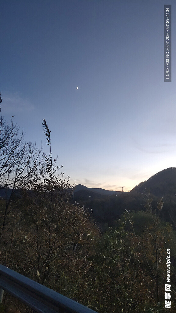 山中月光下风吹枯草夜景