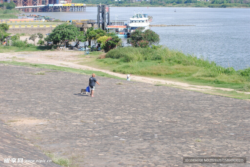 河岸遛狗