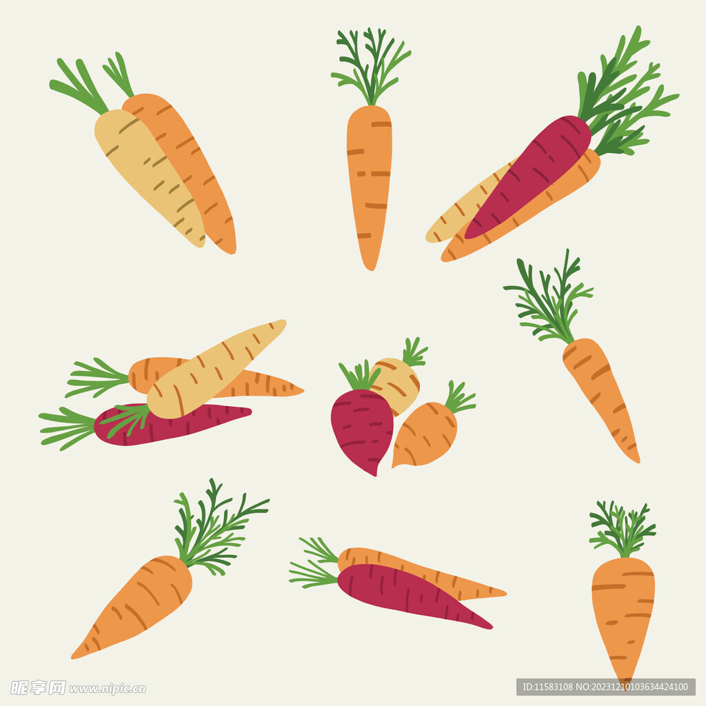矢量胡萝卜